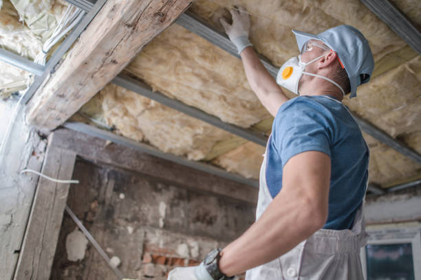 Best Spray Foam Insulation in Eielson Af, AK